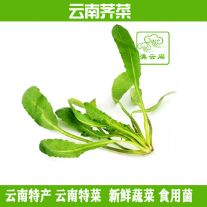 1kg云南新鲜荠菜特产干油菜白花菜香荠蔬菜地菜扁锅铲花紫菜