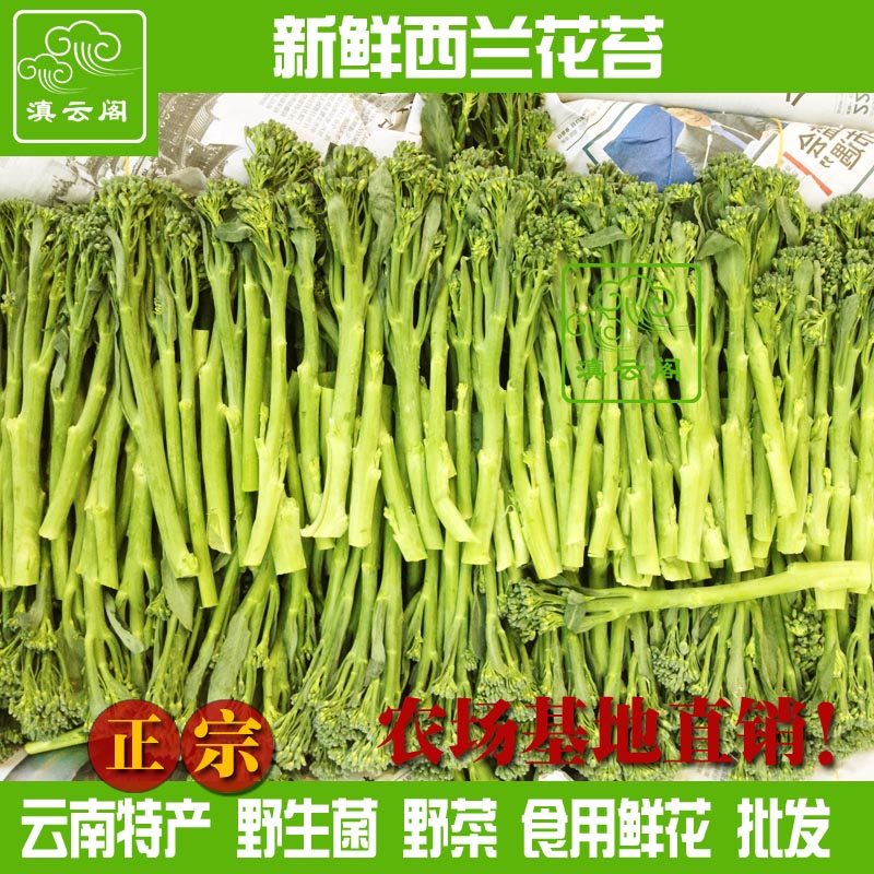 1000克云南特产新鲜西兰花苔绿花椰菜洋花青花菜苷兰花芥蓝酒店