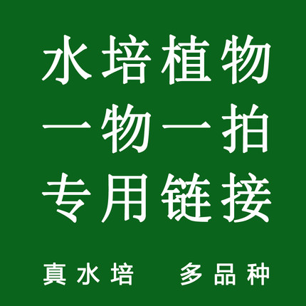 水木生活家真水培植物一物一拍链接室内绿植好养桌面多多品种