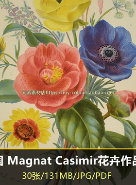 K167【法国】( Magnat Casimir )花的寓意花卉版画网传电子图库