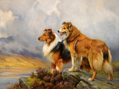YC439【英国】赖特·布拉克（Wright Barker ）动物油画网传图库