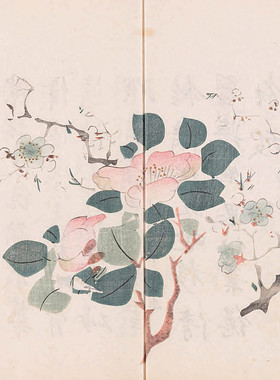 A314胡正言编古代经典十竹斋书画国画书法初学者必备素材电子图库