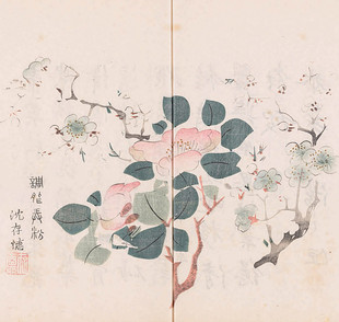 A314胡正言编古代经典十竹斋书画国画书法初学者必备素材电子图库