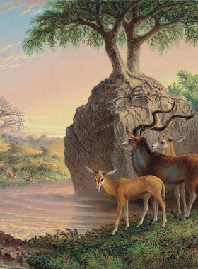 K008【澳大利亚】托马斯·班尼斯(Thomas Baines)绘画、版画图库.