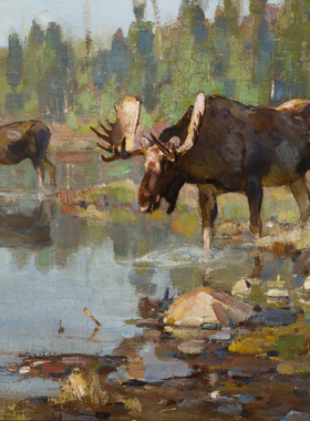 K942【美国】卡尔·朗吉斯（Carl Rungius）动物绘画临摹素材