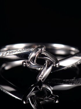Fay Jewelry 个性定制钻石戒指空托（925银/10K/14K/18K/PT950）