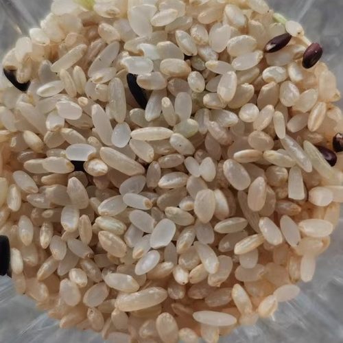 沙漠玫瑰（盐碱地种出来的胚芽米，2025年秋，10斤装）