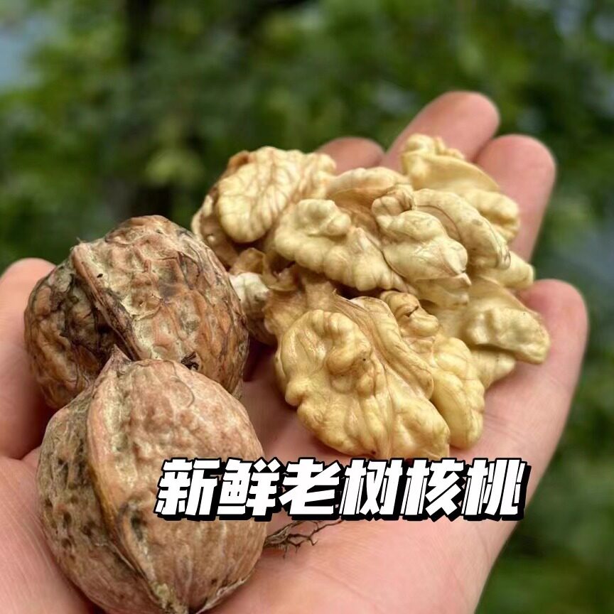 大凉山新鲜老树湿核桃去青皮