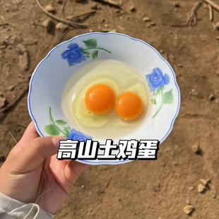 张小猪｜高山放养土鸡 土鸡蛋新鲜现捡现发农家散养土鸡蛋 蛋香浓