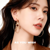 ASYOUWISH 高级感耳饰女 虎眼星星耳环秋冬时尚 2025年新款 甜酷个性