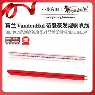 荷兰VandenHul范登豪THE TWIN双子晶體无氧铜 环绕汽车音响喇叭线