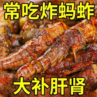 【开袋即食】油炸蚂蚱休闲零食小吃昆虫野味美食秘制蝗虫香辣口味
