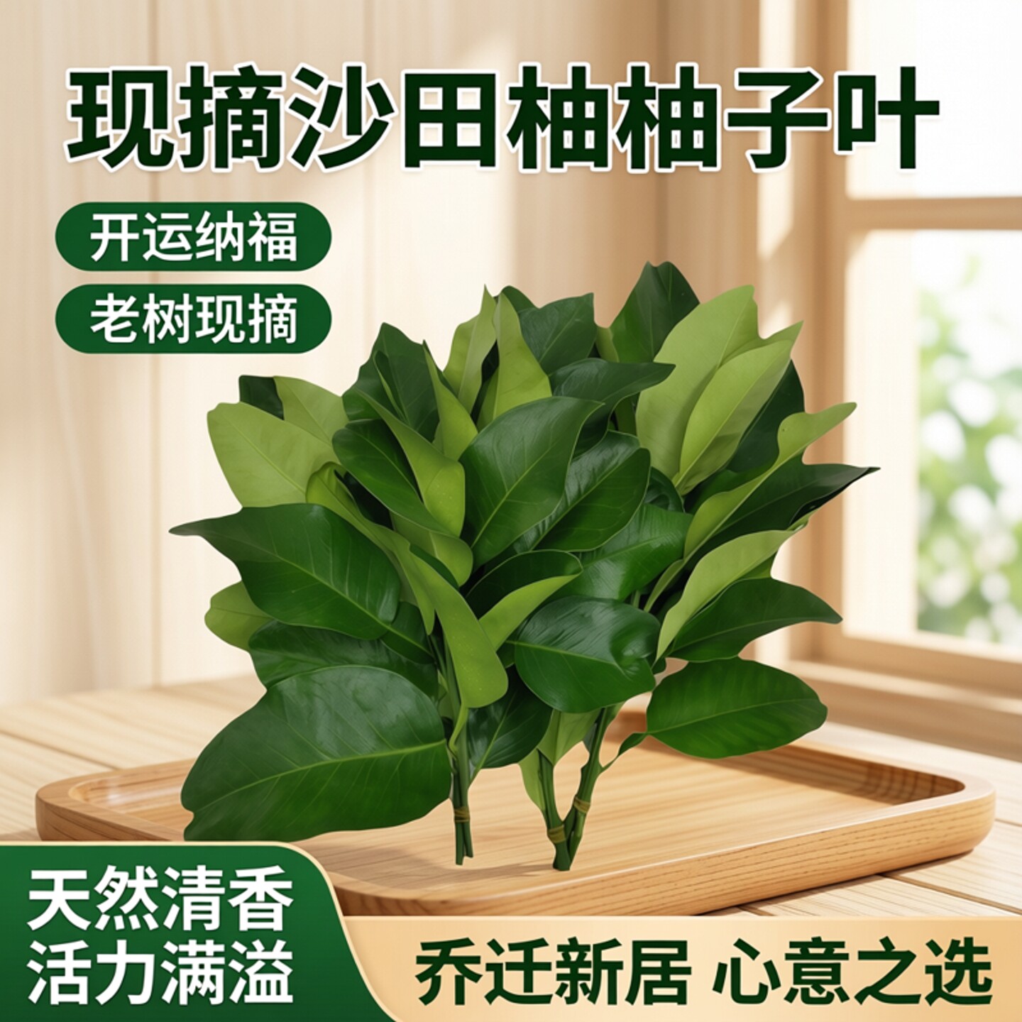 广东新鲜柚子叶碌柚叶乔迁新居开运出狱沐浴带枝老树去晦气柚子叶