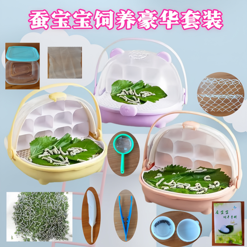 蚕宝宝学生养蚕套装活体幼虫蚕卵春蚕彩丝蚕白色养蚕套装太空舱