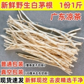 白茅根新鲜野生茅草根凉茶食材茅根甘蔗草根药食同源食品500克