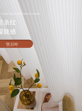 简约竖百叶白色窗帘窗纱透光不透影垂直梦幻客厅卧室条纹纱帘窗帘
