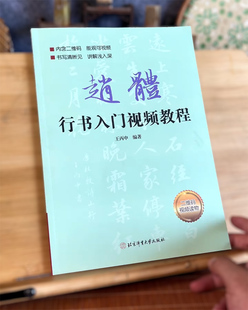 赵体行书入门视频教程毛笔书法成人初学临摹练字帖 老师推荐