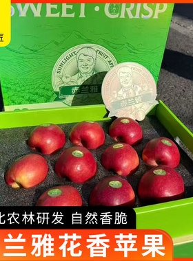 新疆赤兰雅花香苹果脆甜4斤礼盒