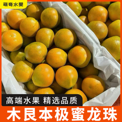 广西融安木艮本金柑脆蜜金桔极蜜龙珠甜蜜脆甜纯甜桔子新鲜水果