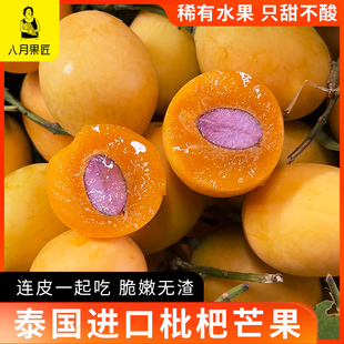 八月果匠泰国进口枇杷芒果稀有水果脆嫩无渣迷你小芒果