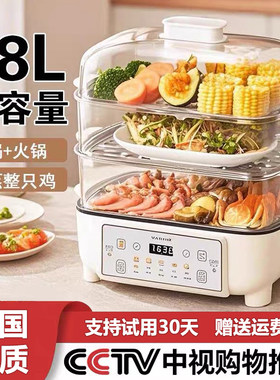 【送2米插座线】电蒸煮炖一体锅