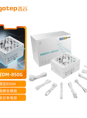鑫谷数智DM-850G冰山版850W电源金牌全模组1000W显卡750W PCIE5.1