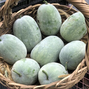 禾木生态农场 哈密白薯烟薯25皱叶甘蓝芋香冬瓜等稀特无农化蔬菜