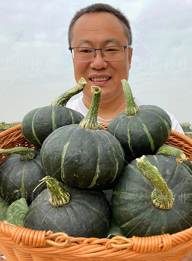 南瓜种子日本甜栗板栗南瓜种籽农家高产四季蜜本南瓜种红栗南瓜籽