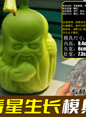 水果定型模具 人参果模具 苹果鸭梨葫芦番茄黄瓜生长模具园艺工具