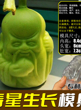 人参果生长模具定型模具