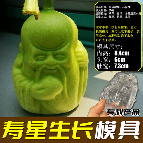 人参果生长模具定型模具