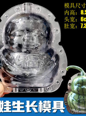 福娃模具橘子专用人参果模具水果定型模具苹果梨葫芦生长园艺模具