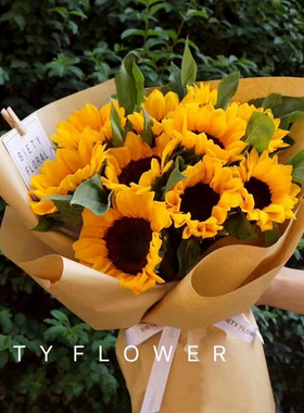 花卉向日葵种子 观赏矮生玩具熊家庭园艺菜园专用景观园林种籽