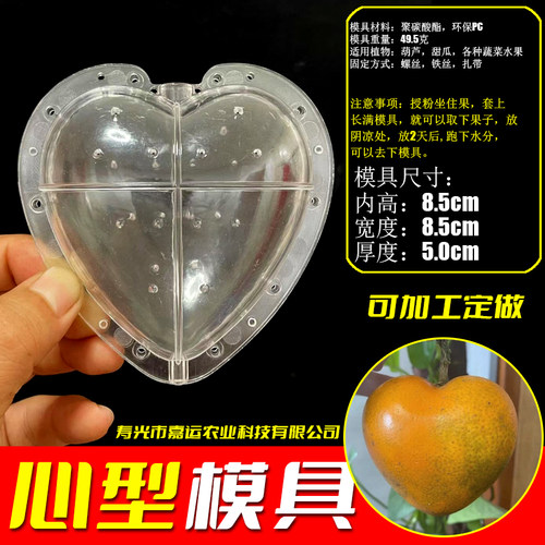 心型人参果模具橘子专用水果定型模具橙子梨葫芦支持加工定制