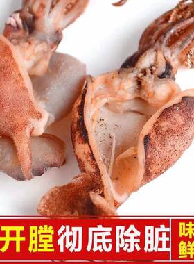 野生去内脏墨鱼仔特级非即食500g