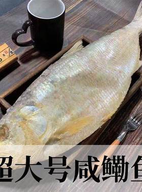 新鲜咸鱼大白鳞鱼山东日照
