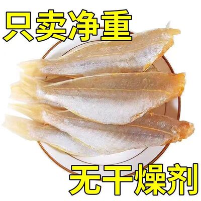 日期新鲜晾晒日照海鲜红三鱼