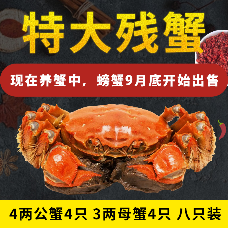 固城湖大闸蟹特大残蟹膏满黄肥