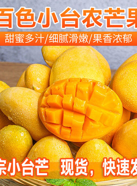 广西百色小台农芒果新鲜现摘当季水果5斤9斤农产品成熟香甜肉厚
