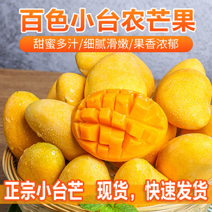 广西百色小台农芒果新鲜现摘当季水果5斤9斤农产品成熟香甜肉厚