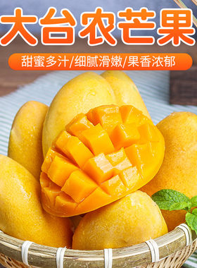 广西百色大台农芒果新鲜现摘当季水果5斤9斤农产品成熟香甜肉厚
