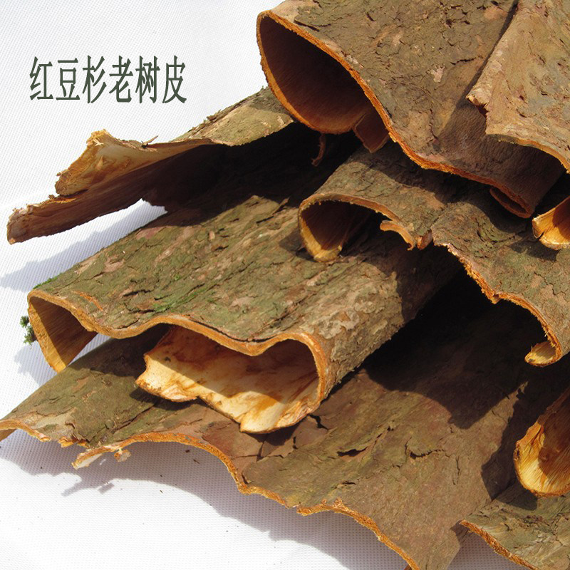 正宗红豆杉老树皮紫杉醇赤柏松南方红豆杉皮果子中药材半斤一斤