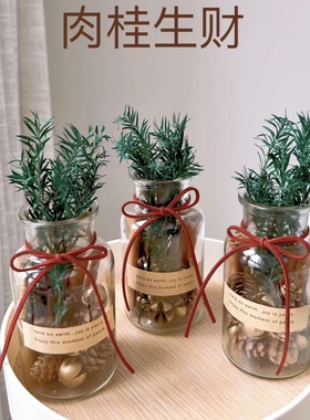 HAN 肉桂生财摆件ins森系千层金干花招财瓶摆件玻璃瓶diy车载香薰
