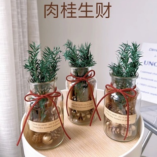 HAN 肉桂生财摆件ins森系千层金干花招财瓶摆件玻璃瓶diy车载香薰