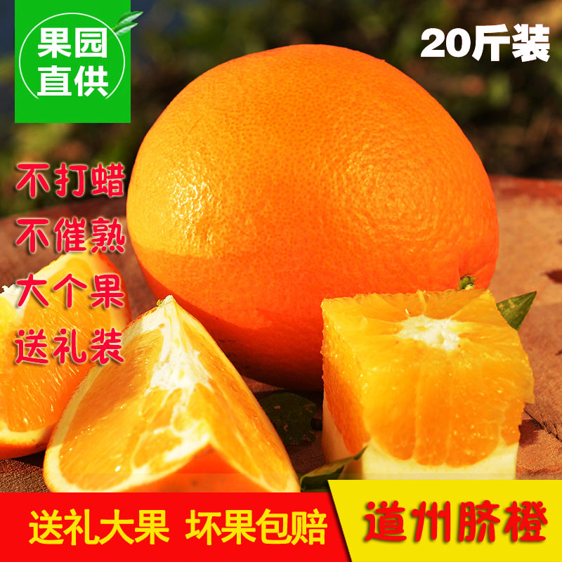 现摘现发道州脐橙纽荷尔脐橙20斤