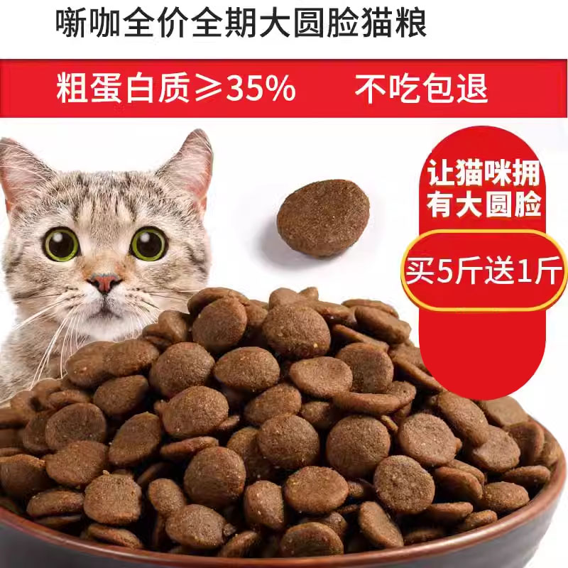 昊天定制英短美短500g包邮成猫粮