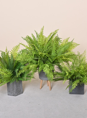 森系仿真蕨叶南天竹橱窗植物墙