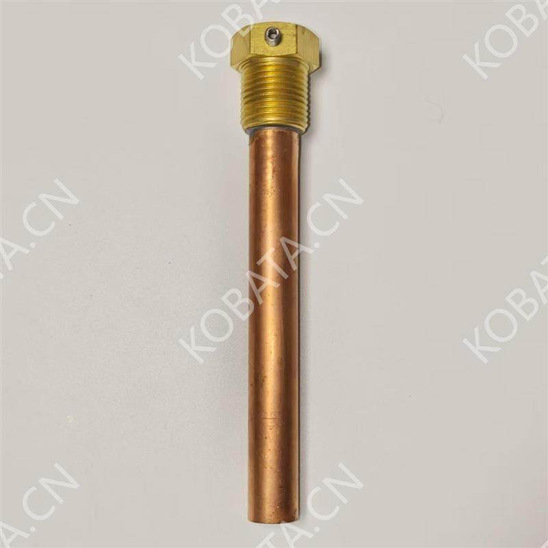 TNS-AC05 TNS-AC09 TB-5-T-1 温度控制器开关套管 鹭宫温度套管,五金/工具,热电偶,淘宝优惠券,粉丝福利购,淘宝优惠卷