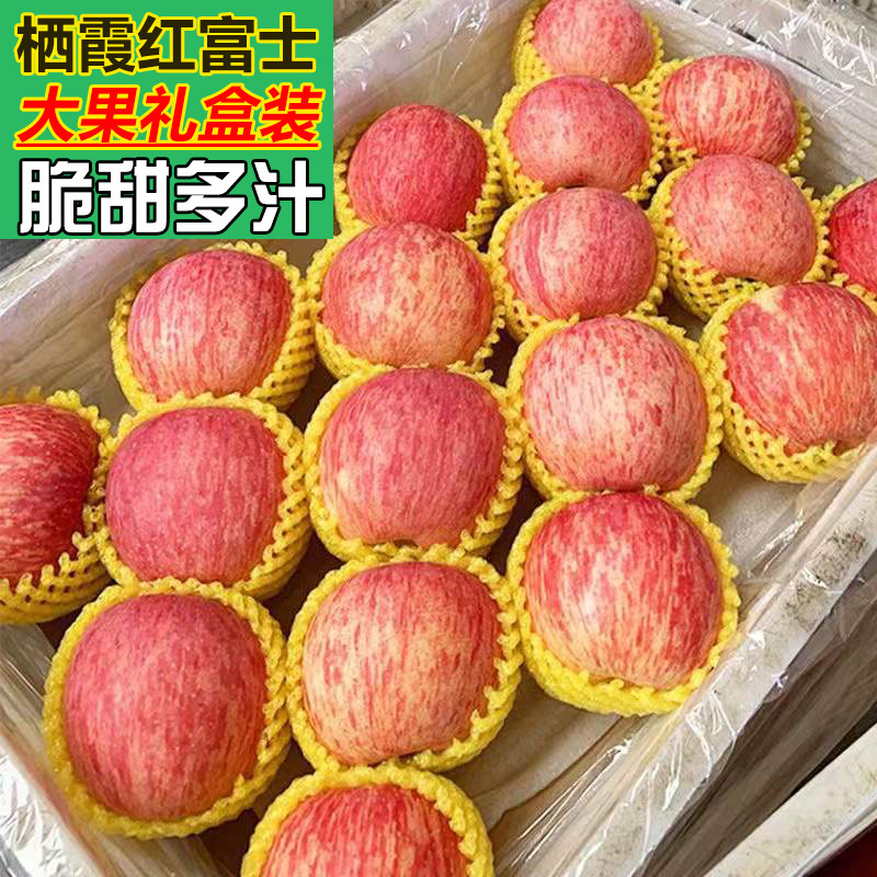 正宗山东烟台苹果栖霞红富士期货大果精品礼盒交割果现摘新鲜脆甜