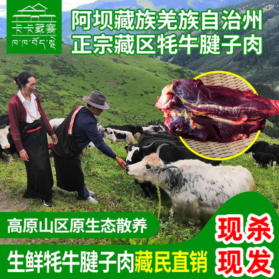腱子肉生鲜腱子肉卡卡藏寨